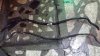 20160216_180117.jpg