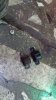 20160216_180829.jpg