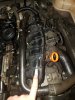 20170111_052642.jpg