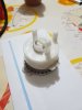 20170117_165005.jpg