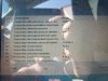 20170815_144811.jpg