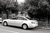 IMG_1563.jpg