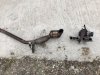 IMG-20180806-WA0057.jpg