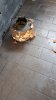 IMG-20181018-WA0007.jpeg