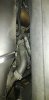 IMG-20190310-WA0000.jpg