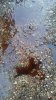 20190722_202654.jpg