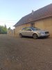 IMG_20230910_184439.jpg