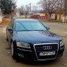 Adrian d4