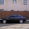 zoomaudi
