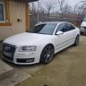 Mircea02