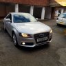 Audi_alex
